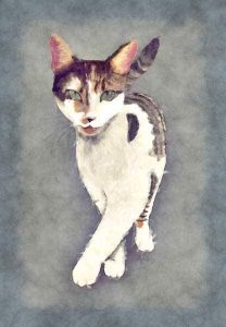 Acrylic Digital Portrait by Kat Pearson Designs